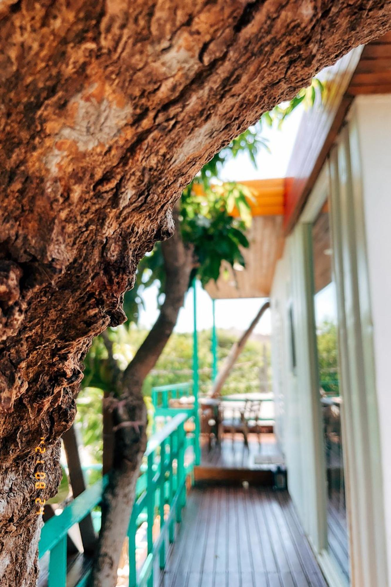 Little Ryukyu Hermit Crab Homestay Đảo Tiểu Lưu Cầu Ngoại thất bức ảnh