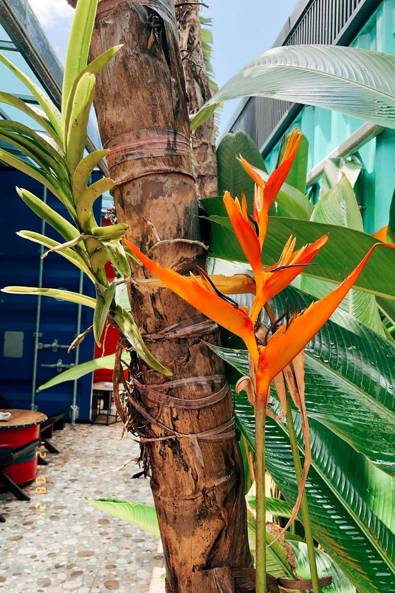 Little Ryukyu Hermit Crab Homestay Đảo Tiểu Lưu Cầu Ngoại thất bức ảnh